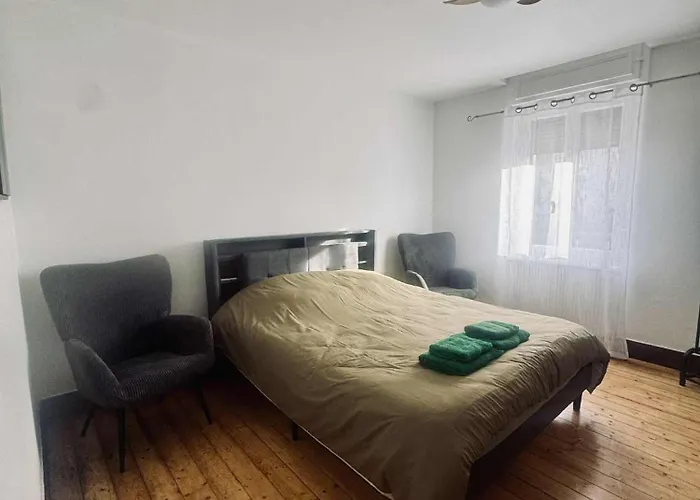 Le Figuier De Francesca Colmar