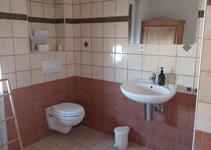 Le Figuier De Francesca